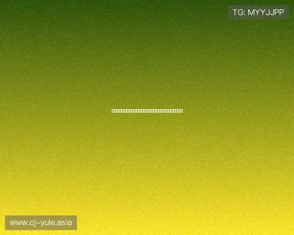 捷克队与韩国队国旗展示全景解析：世界杯赛场上的国家象征意义